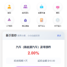 多语言投资理财系统/新能源投资返利/海外投资众筹系统