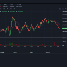 新币币交易所|区块链合约交易所|USDT秒合约/杠杆/C2C法币交易，完美在线运营版，五种语言