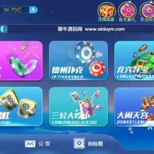 运营级网狐系列新猫娱乐亿信彤完整双端带控制返x视讯