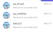 多语言即时通讯系统/语音视频通话/社交聊天系统