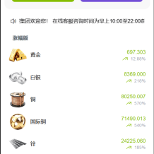 vue独家六国语言/贵金属/外汇/虚拟币/微交易系统