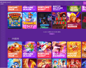 紫色新版PG电子游戏源码