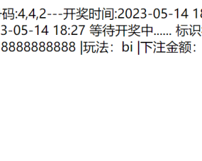 四国多语言空降VUE源码完整版