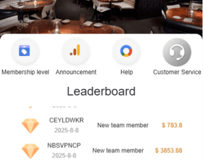 多语言酒店抢单刷单系统/海外Google酒店刷单/卡单连单