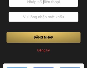 海外抢单刷单系统/连单卡单/手动自动派单/打针