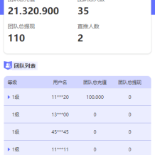 阿拉伯投资理财系统/海外投资众筹系统/前端vue