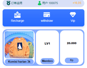 全新UI多语言抢单系统/抢单刷单源码/单独代理后台/订单自动匹配系统
