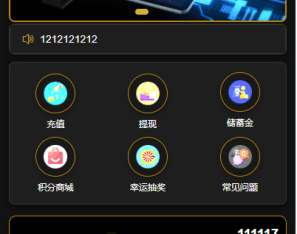 多语言虚拟币量化投资系统/海外币种投资/前端vue