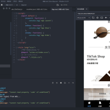 多语言TIKTOK刷单/海外TIKTOK抢单刷单/策略组/指定派单