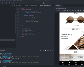 多语言TIKTOK刷单/海外TIKTOK抢单刷单/策略组/指定派单