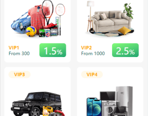 海外抢单抢单系统/商城刷单系统/订单自动匹配系统