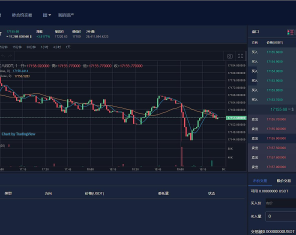 新版多语言交易所系统/合约期权交易所/理财认购矿机