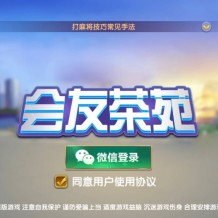 网狐精华版源码二开双模式大联盟 会友茶苑