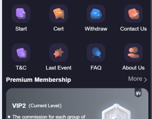 海外抢单刷单系统/连单系统/VUE3开发/单语言/带安装教程