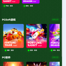 最新绿色海外巴西PG电玩城