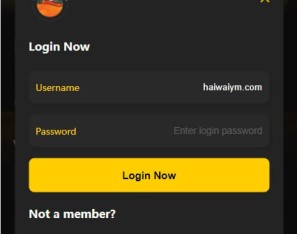 二开运营版的旅游类抢单刷单系统