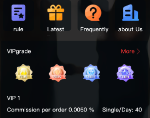 最新UI多语言刷单商城/抢单系统/订单自动匹配系统/连单卡单/海外源码