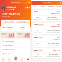 新UI多语言抢单刷单系统/海外刷单源码/订单自动匹配系统
