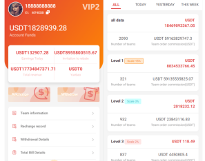 新UI多语言抢单刷单系统/海外刷单源码/订单自动匹配系统