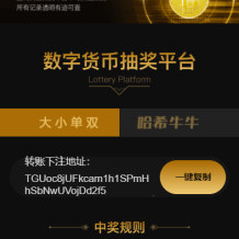 哈希竞彩/区块链哈希值竞猜/带后台