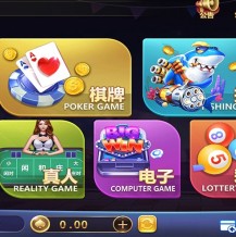 微星二开皇家之星仿325运营版组件