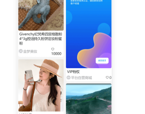 直播短视频购物版V2.0.5二开版