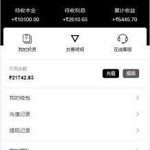 新版海外特斯拉投资系统/多语言投资理财/前端vue