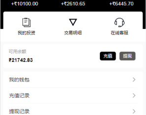 新版海外特斯拉投资系统/多语言投资理财/前端vue