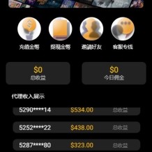 海外影视刷单抢单系统/多语言刷单/打针/叠加组