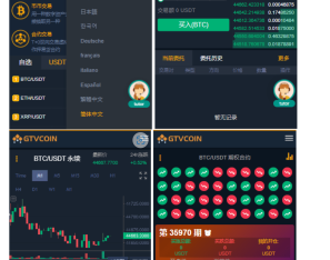 【全网独家】最新BIZZAN币严交易所/币币交易/永续合约/期权合约/纯源工程+双端原生APP/带搭建教程
