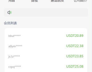 海外抢单刷单系统/手动派单/爆单卡单/多语言刷单