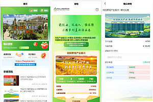 独家定制振兴利民理财系统完美运营