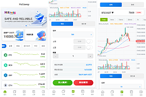 海外DAPP综合盘交易所/股票/贵金属/虚拟币/外汇/行情控制