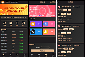 海外虚拟币竞猜投注/区块链竞猜游戏/开奖预设