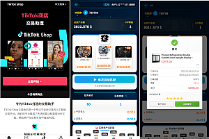 海外tiktok抢单刷单系统/手动派单/爆单卡单
