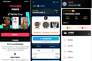 十二语言tiktok抢单刷单系统/海外抢单系统/单独派单/爆单/卡单分组